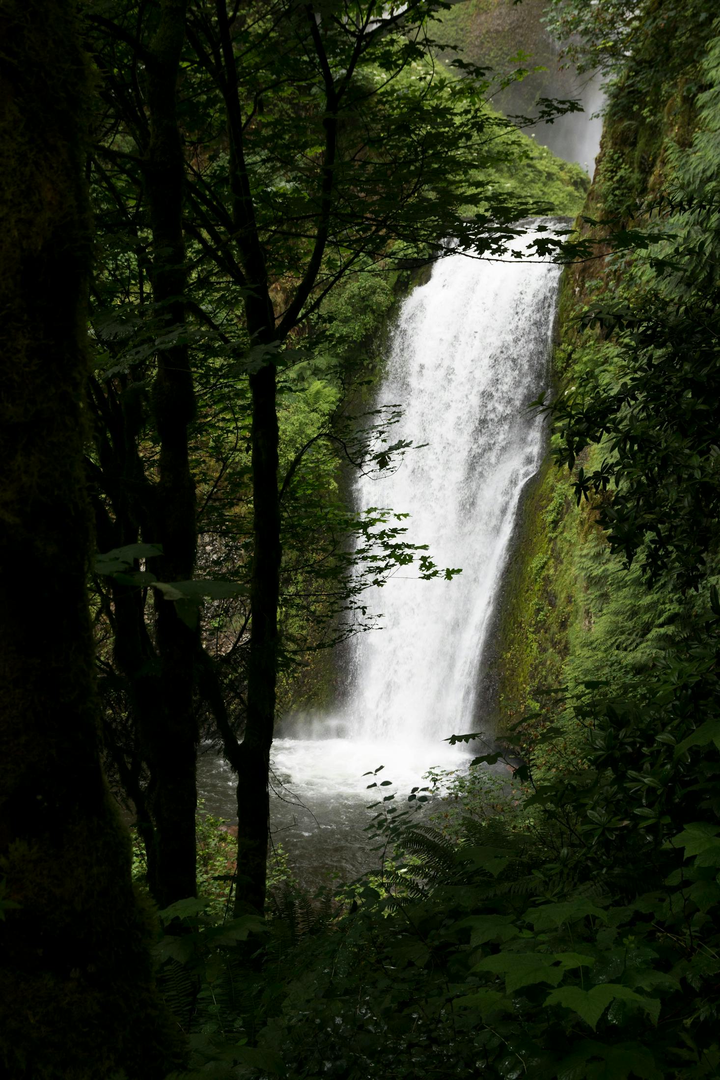 A waterfall in the forest of Beaverton.