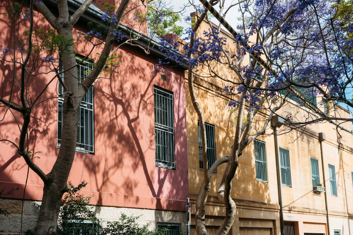 Colorful buildings in Waverley, Australia, with luggage storage nearby