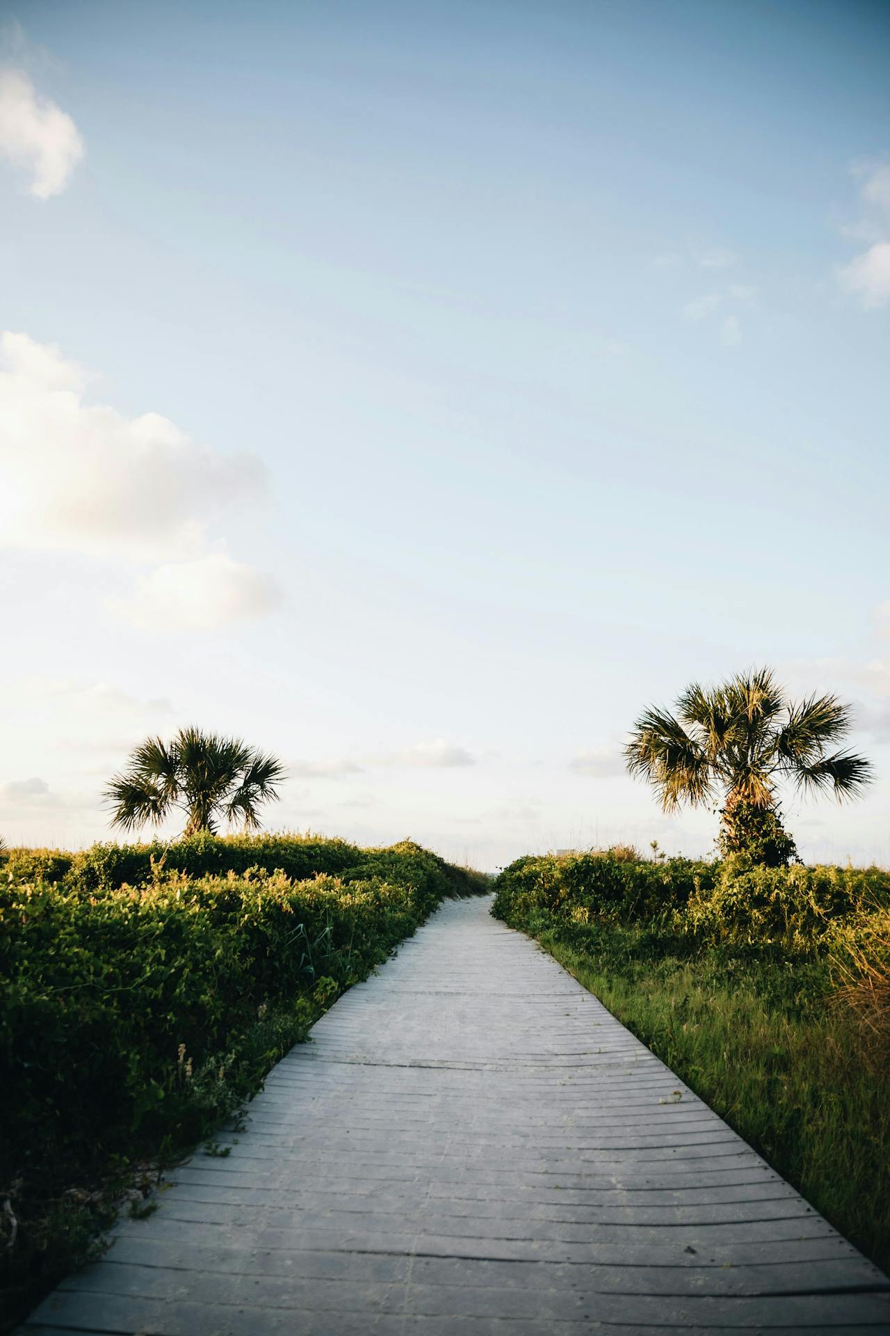 One early morning on the east coast in Hilton Head Island