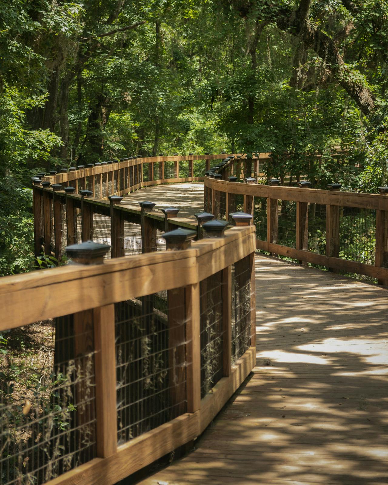 A bridge walkway in Tallahassee