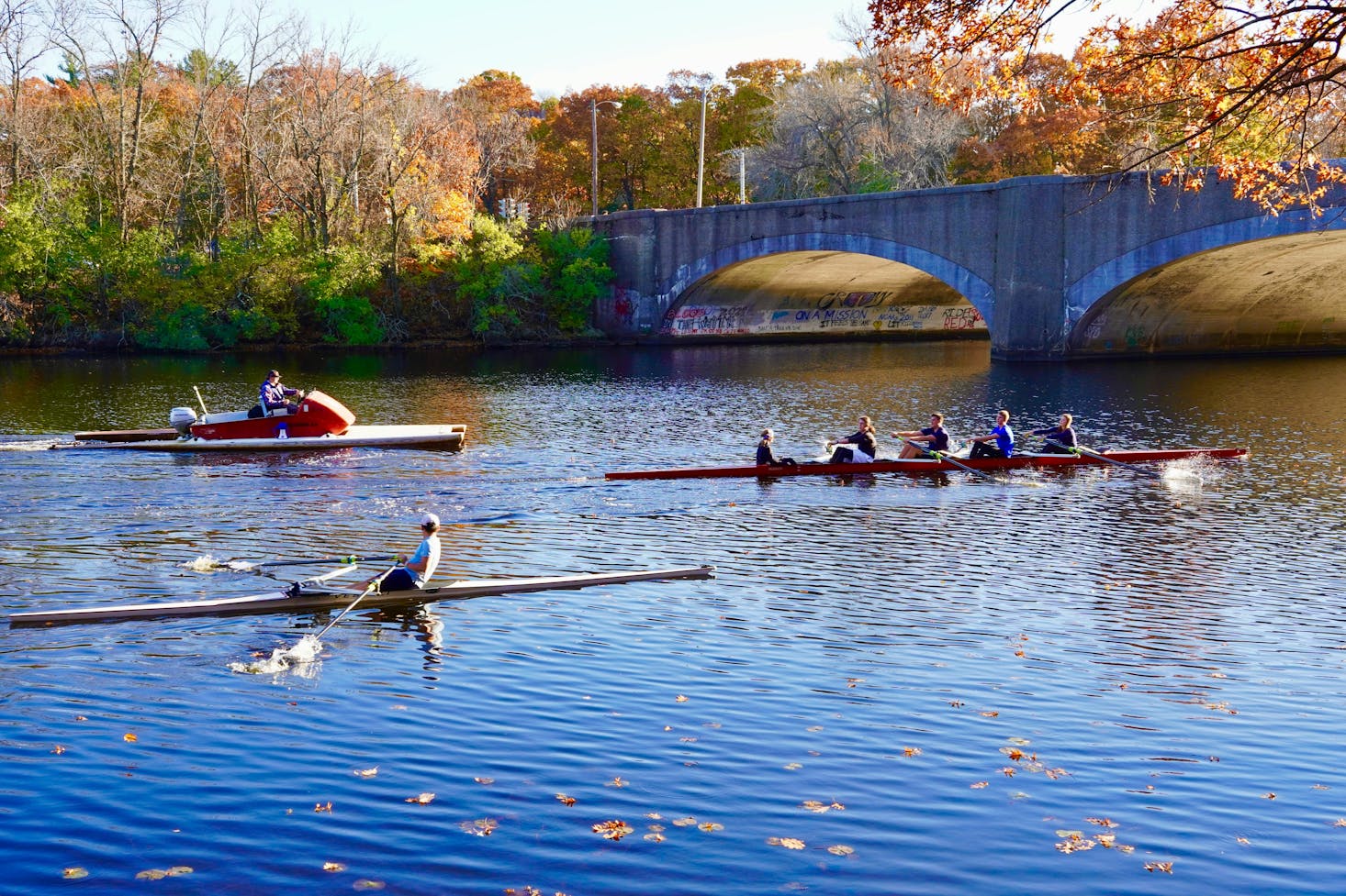 A group of people rowing boats under the sun in Watertown.