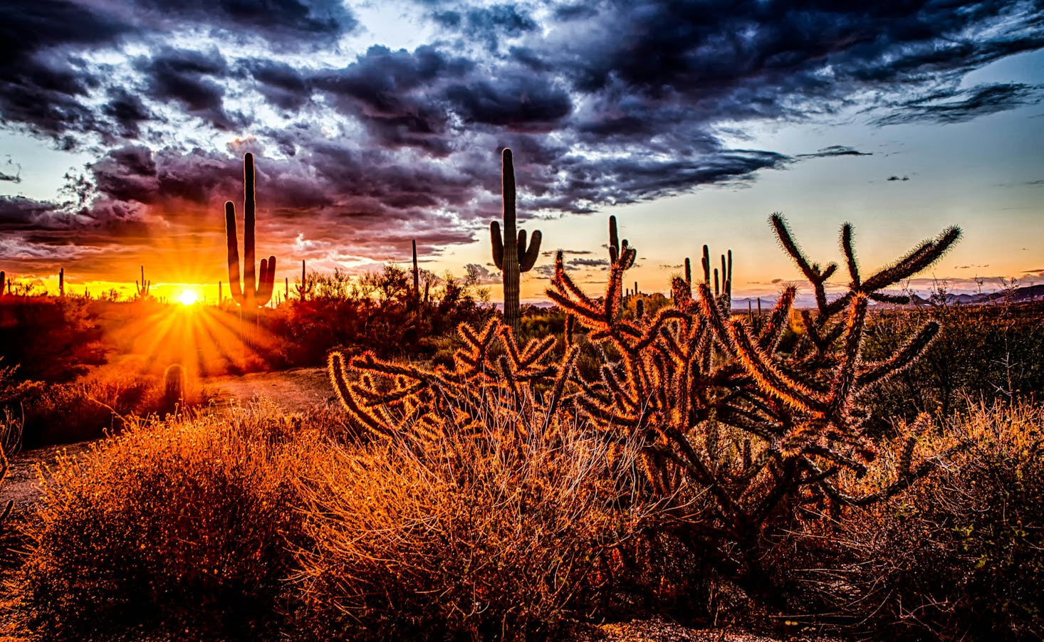 A stunning desert sunset with cacti silhouetted against a dramatic sky in Scottsdale, Arizona