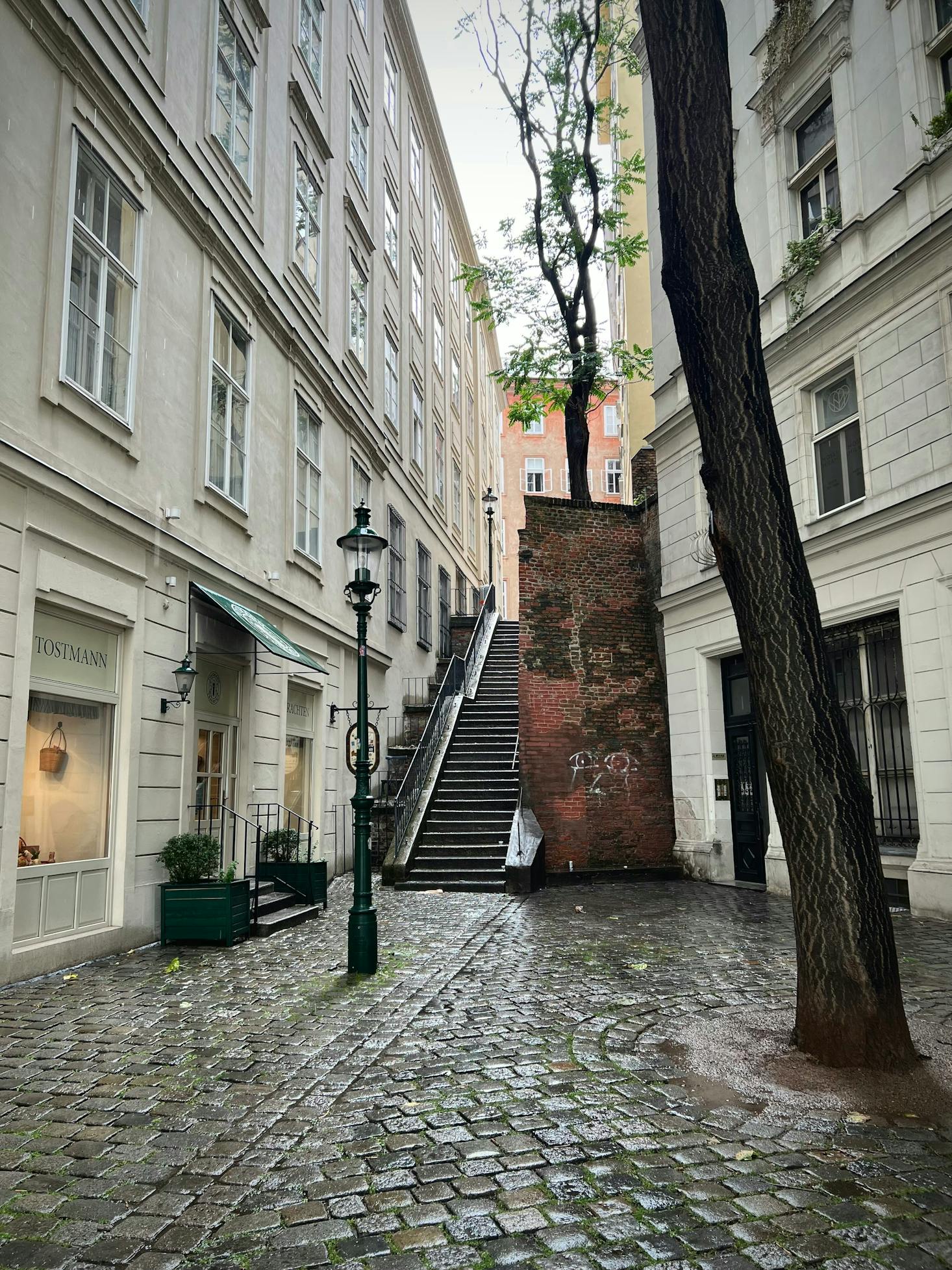 Empty street near Vienna Schottentor