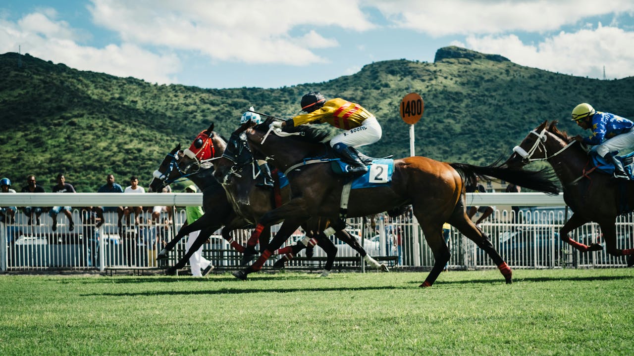 Riders speeding on horses during a race, with a crowd of spectators and mountains framing the excitement of the race