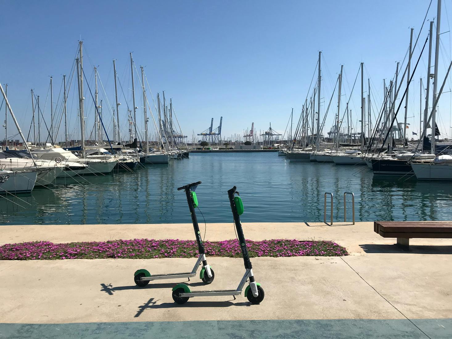 Sailboats moored at the Marina de Valencia