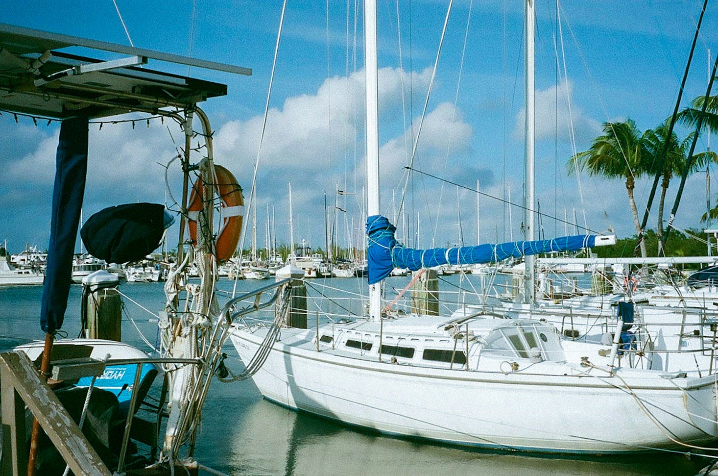 Sailboats moored near Key West Ferry Terminal on a sunny day