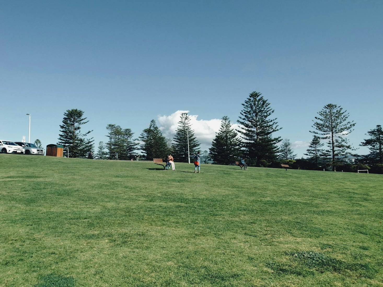 Large green lawn at a park in St. Ives, Sydney