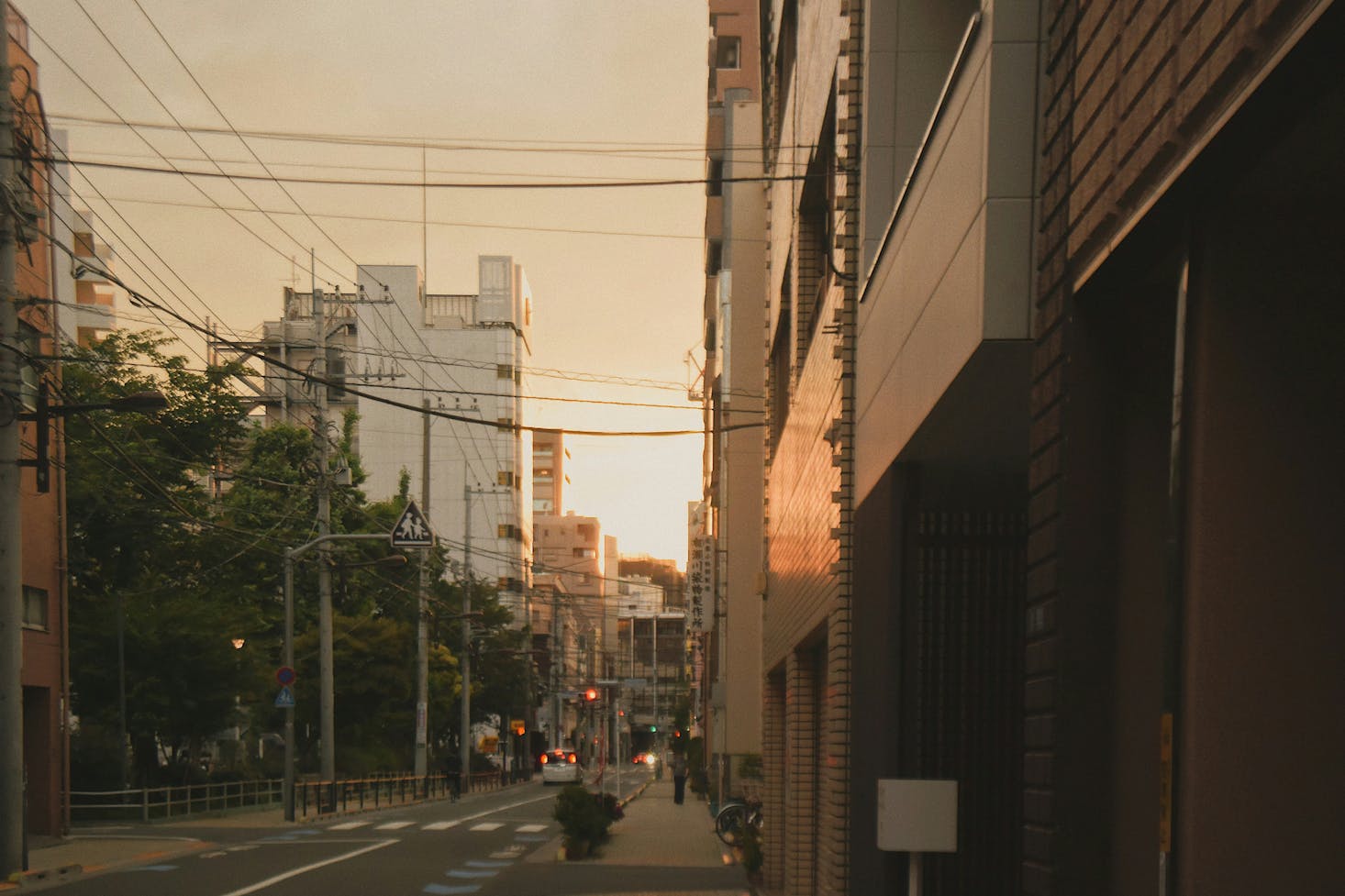 The Tokyo neighborhood of Nippori at sunset with large buildings