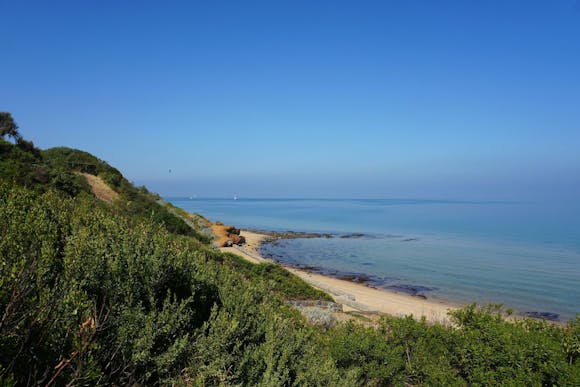 A mountain overlooking the greenery and beach near Victoria