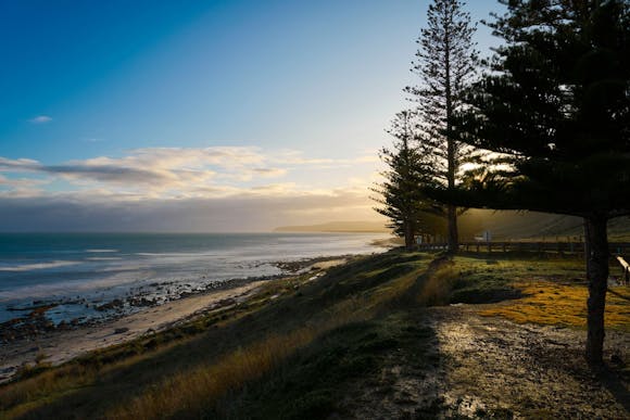 A scenic view of a pebbly beach near Hobart, Australia, framed by green fir trees and distant mountains along the road