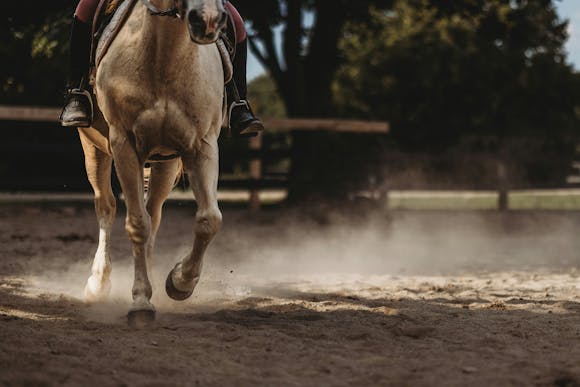 Equestrian passionately riding a galloping horse on sandy terrain with dust rising