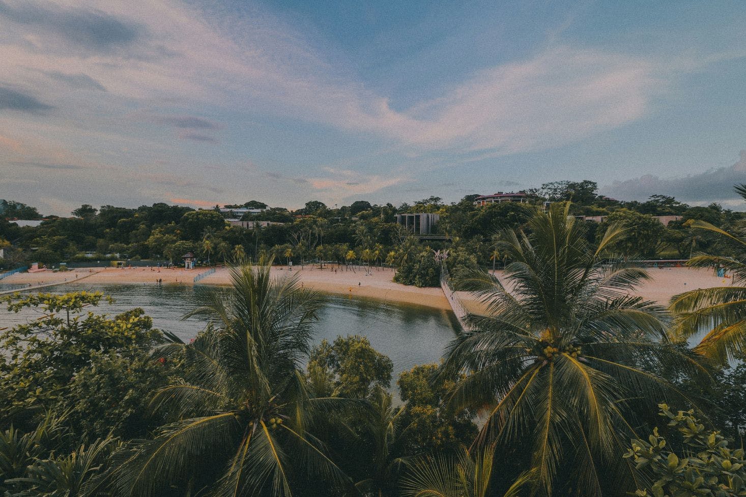 Palm trees overlooking the gold sand of Palawan Beach, Singapore