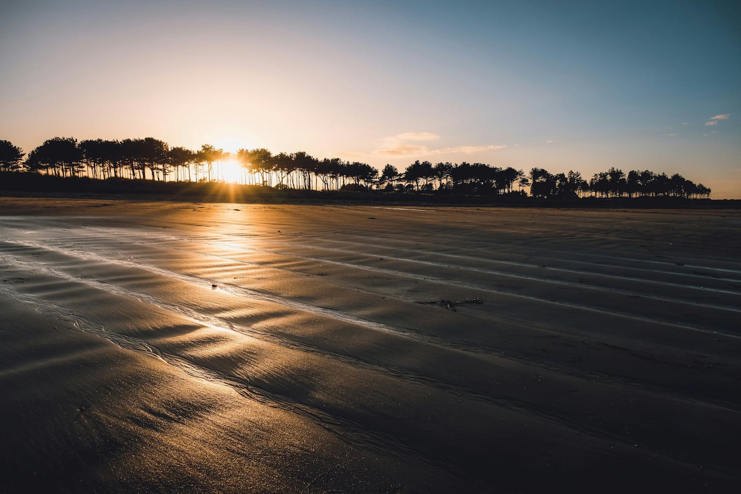 The low sun peeking through trees with a large stretch of wet sand at Yellowcraig Beach near Edinburgh