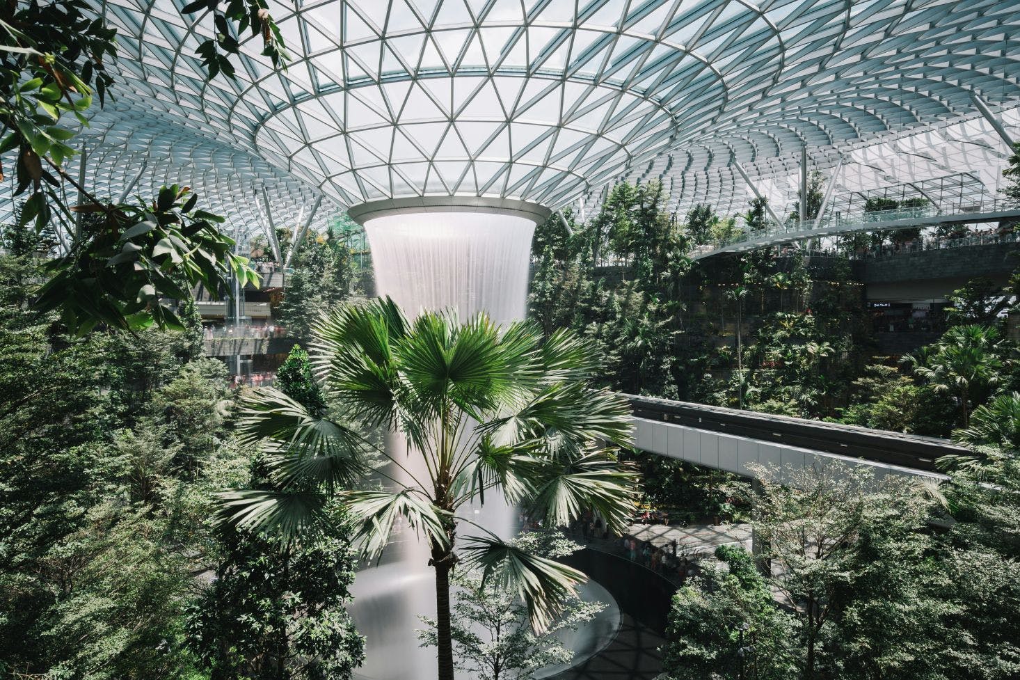 Changi Airport Botanical Garden, Singapore