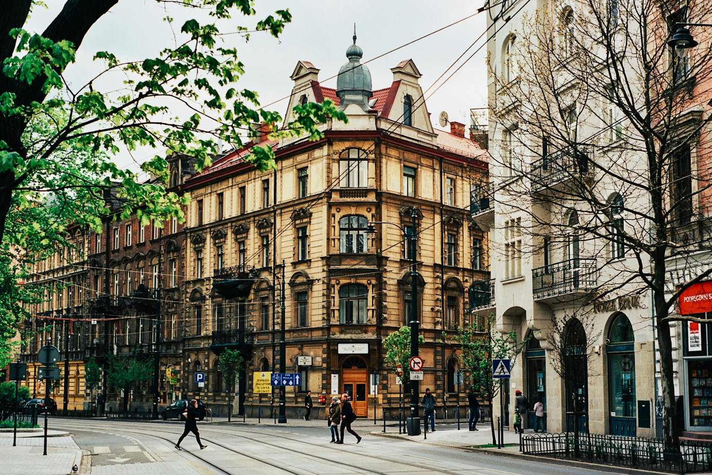 Via del centro, con edifici storici e viale alberato a Cracovia, Polonia 