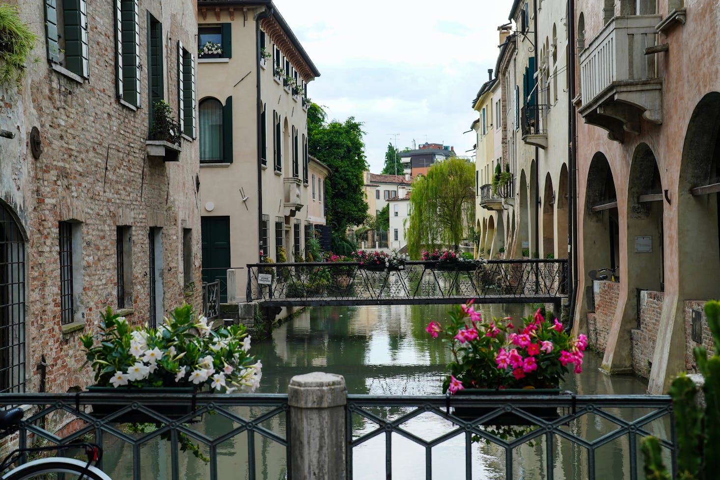 Vista su un canale tipico di Treviso, con edifici ai lati e fiori in primo piano