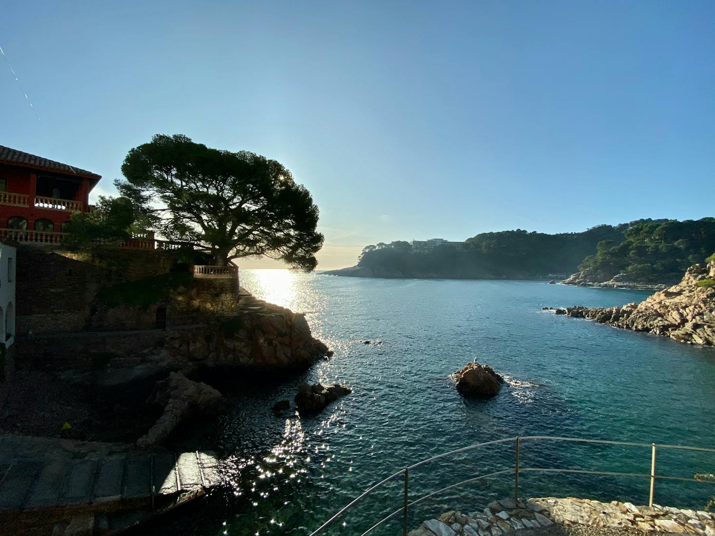 The sun peeking through the tree on a hill in a quiet cove in Aiguablava 