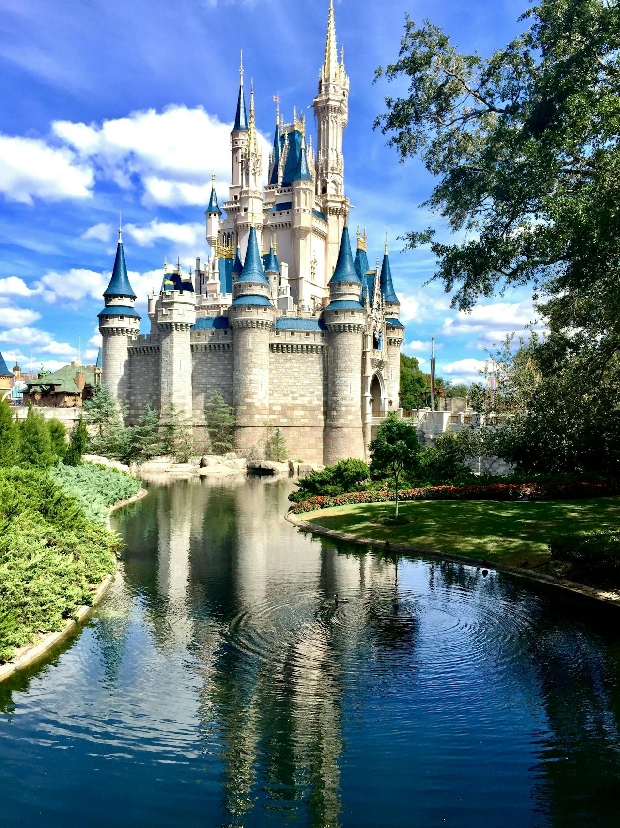  Walt Disney World Resort in Orlando, Florida