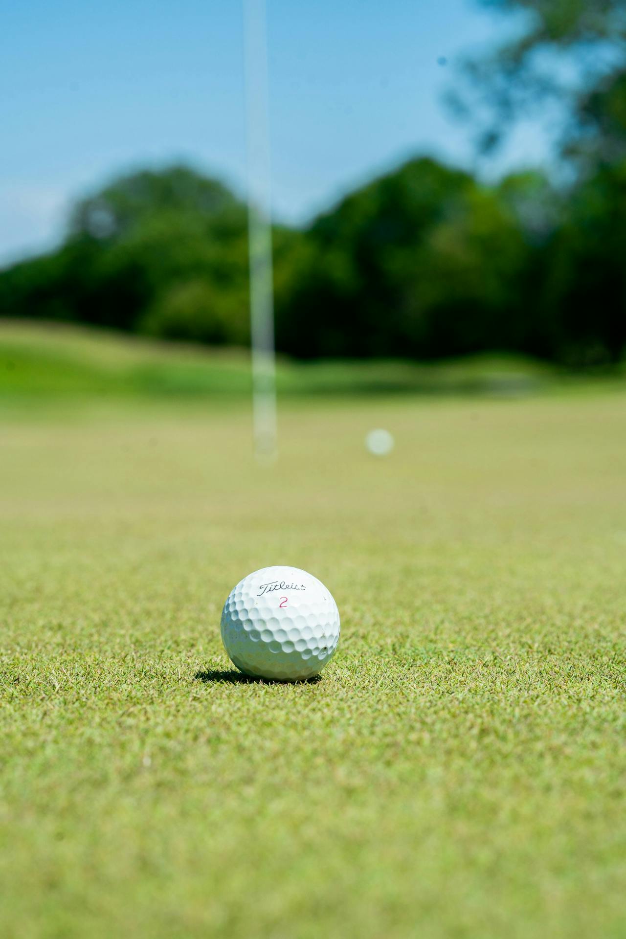 White golf ball on a green golf course during a sunny day