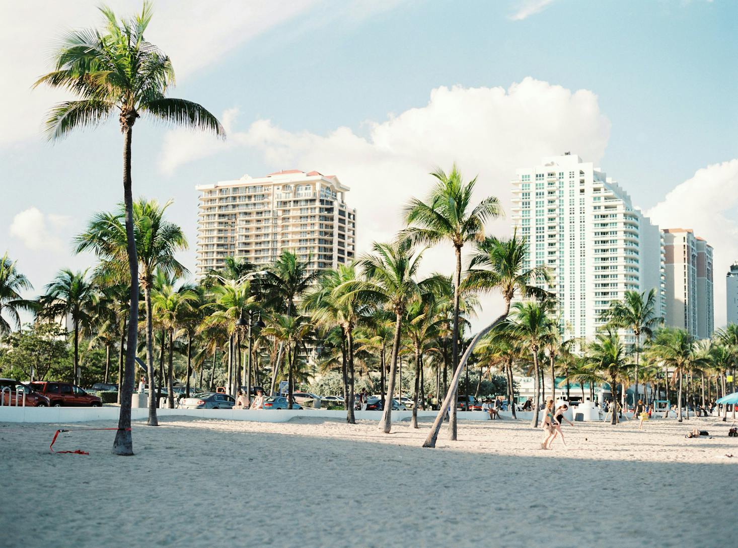 Lungomare di Miami con palme e grattacieli sullo sfondo