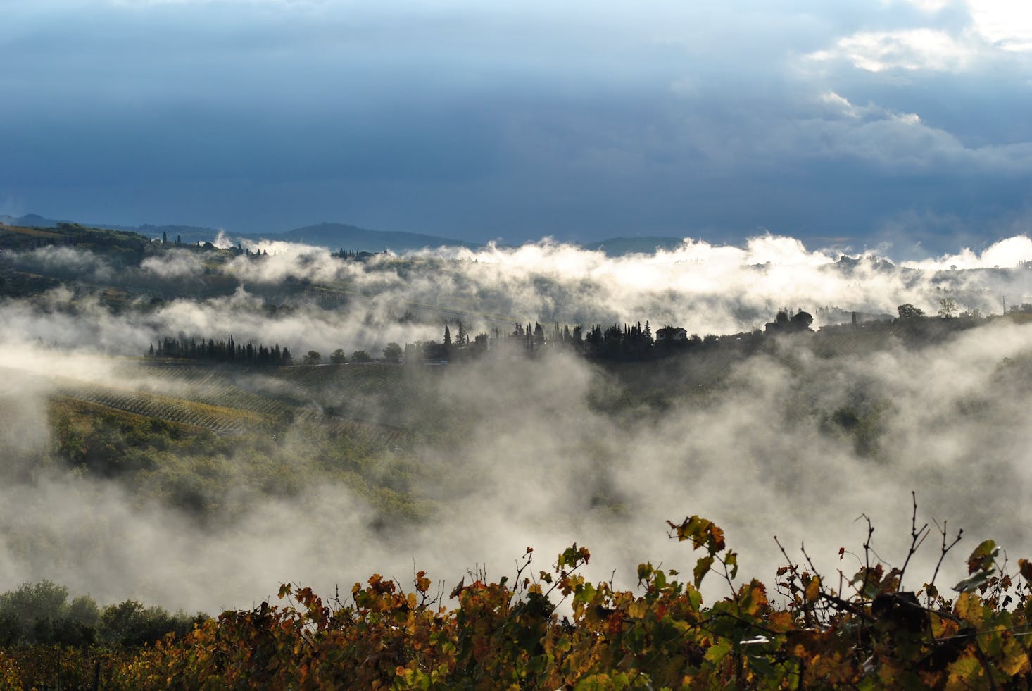 Tuscany day trips from Florence