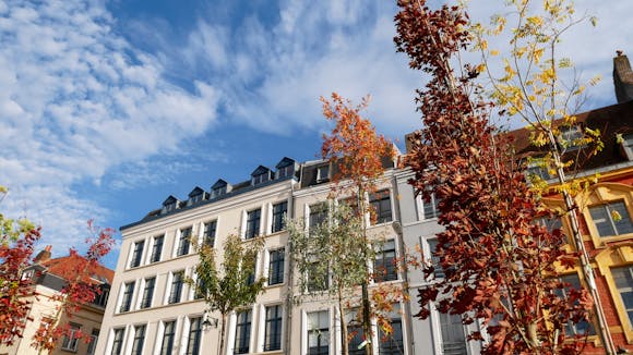 Autumn Street in Lille, France