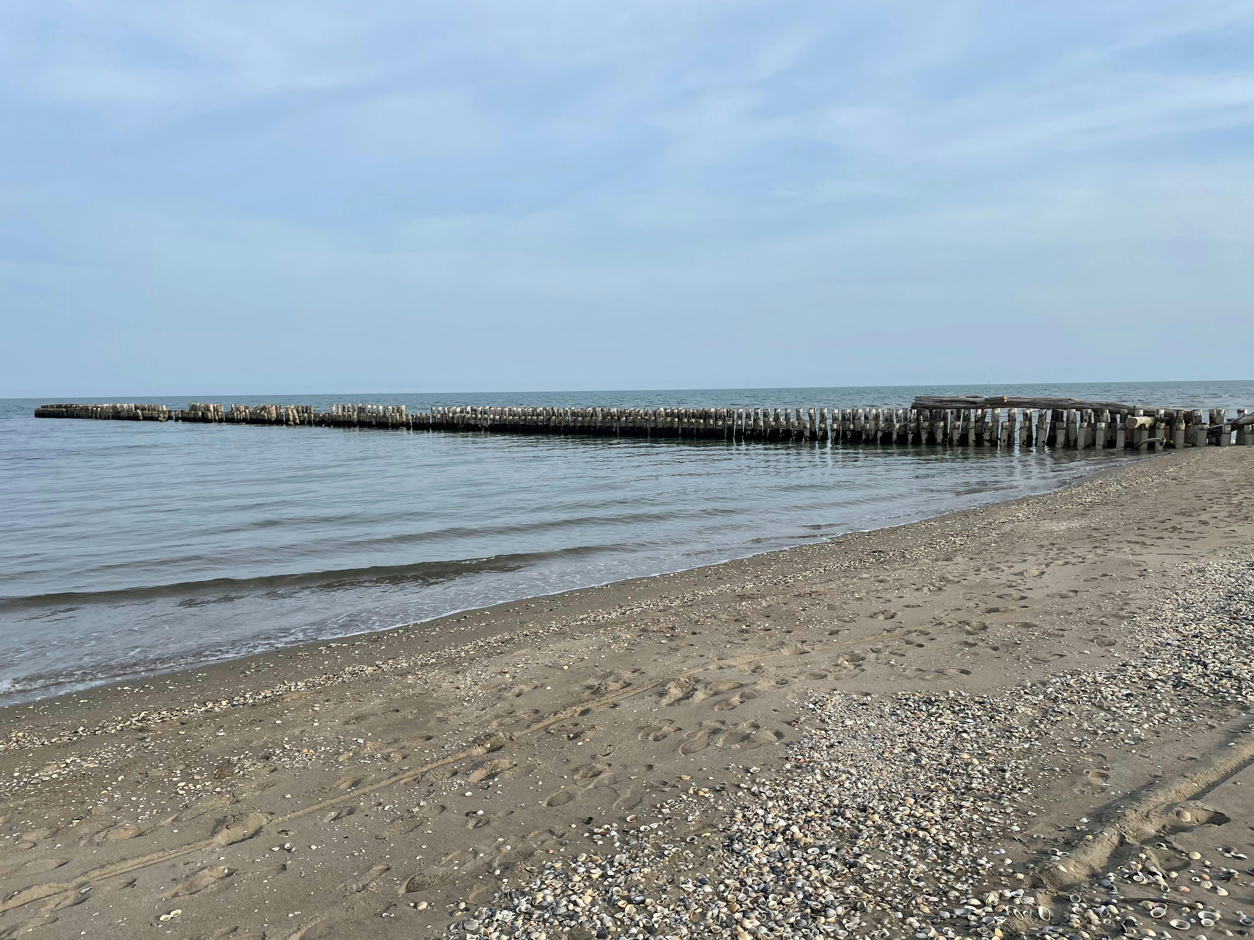 Lido di Dante