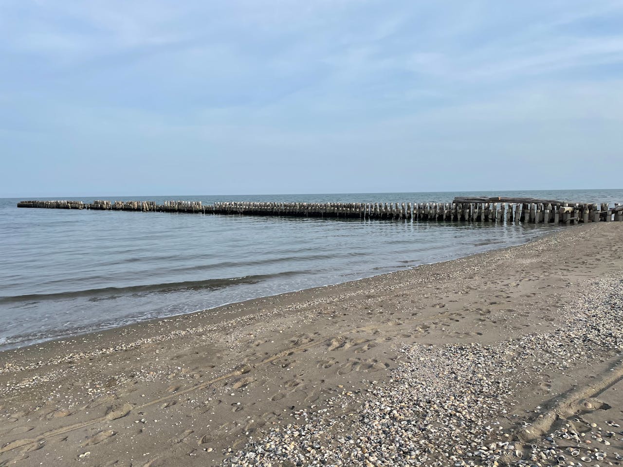 5 beaches near Bologna Where to go for sun, sand, and surf Bounce