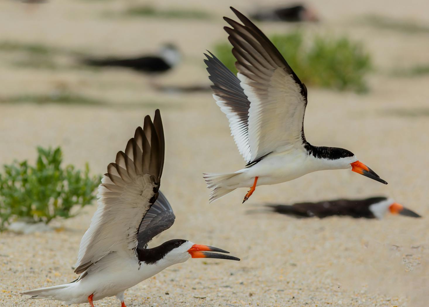 Point Pleasant Beach, New Jersey