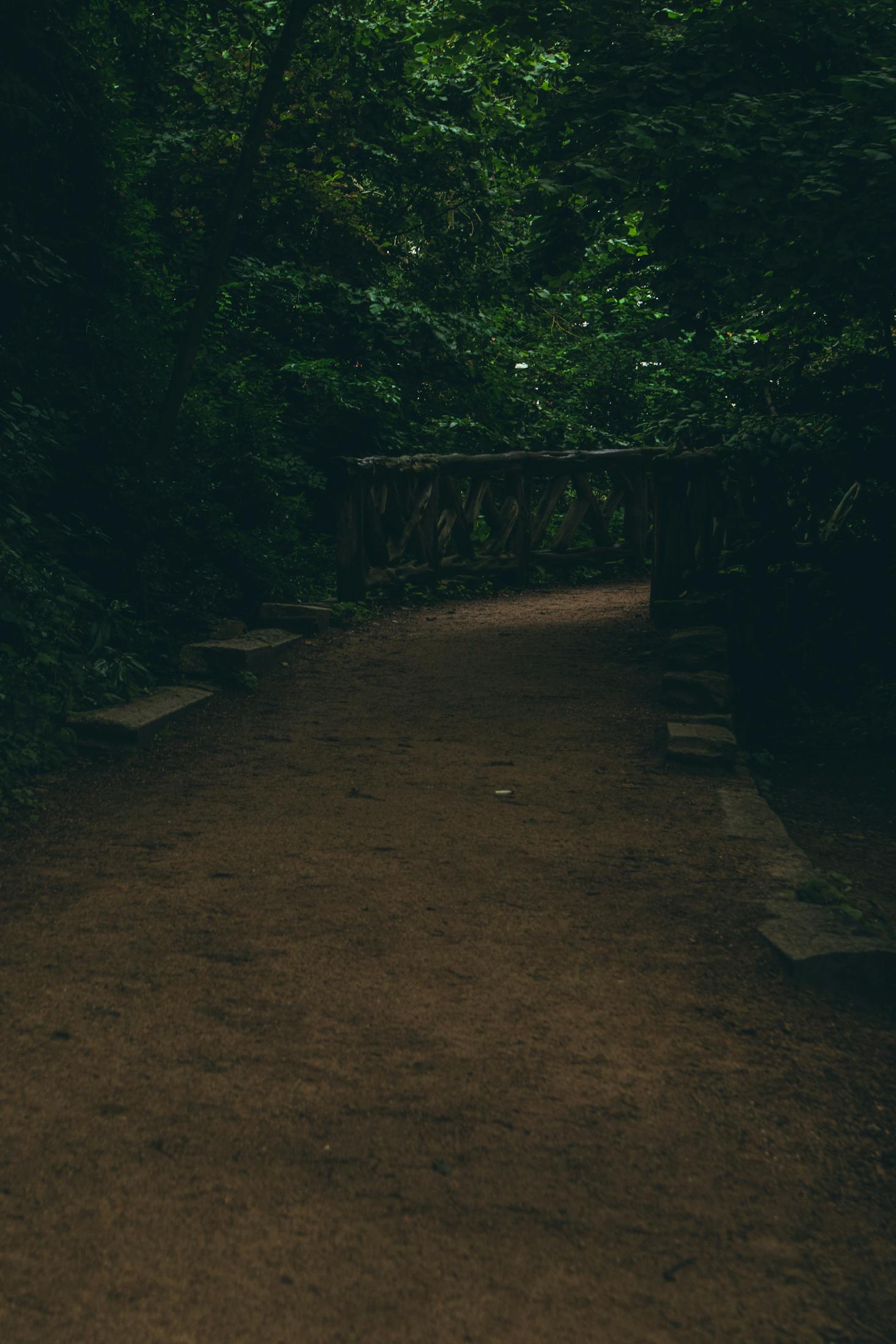 Trail in Amsterdam