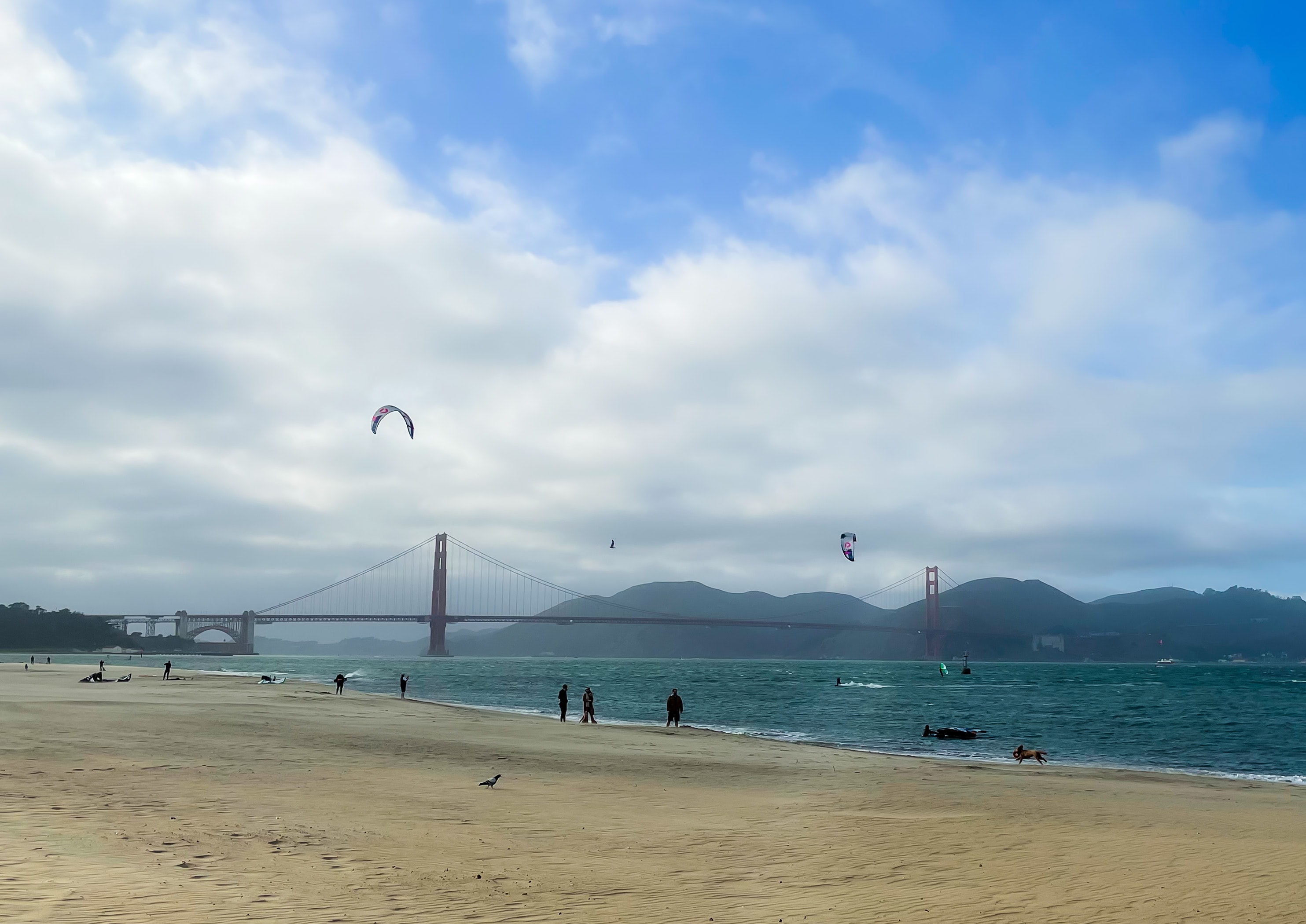 Golden Gate Park Visitor Guide 2024 Everything You Need To Know Bounce   A9219ce7 E4b9 40b7 950e F2afd1871aed Bia Frenkel Vvk IZHOICk Unsplash 