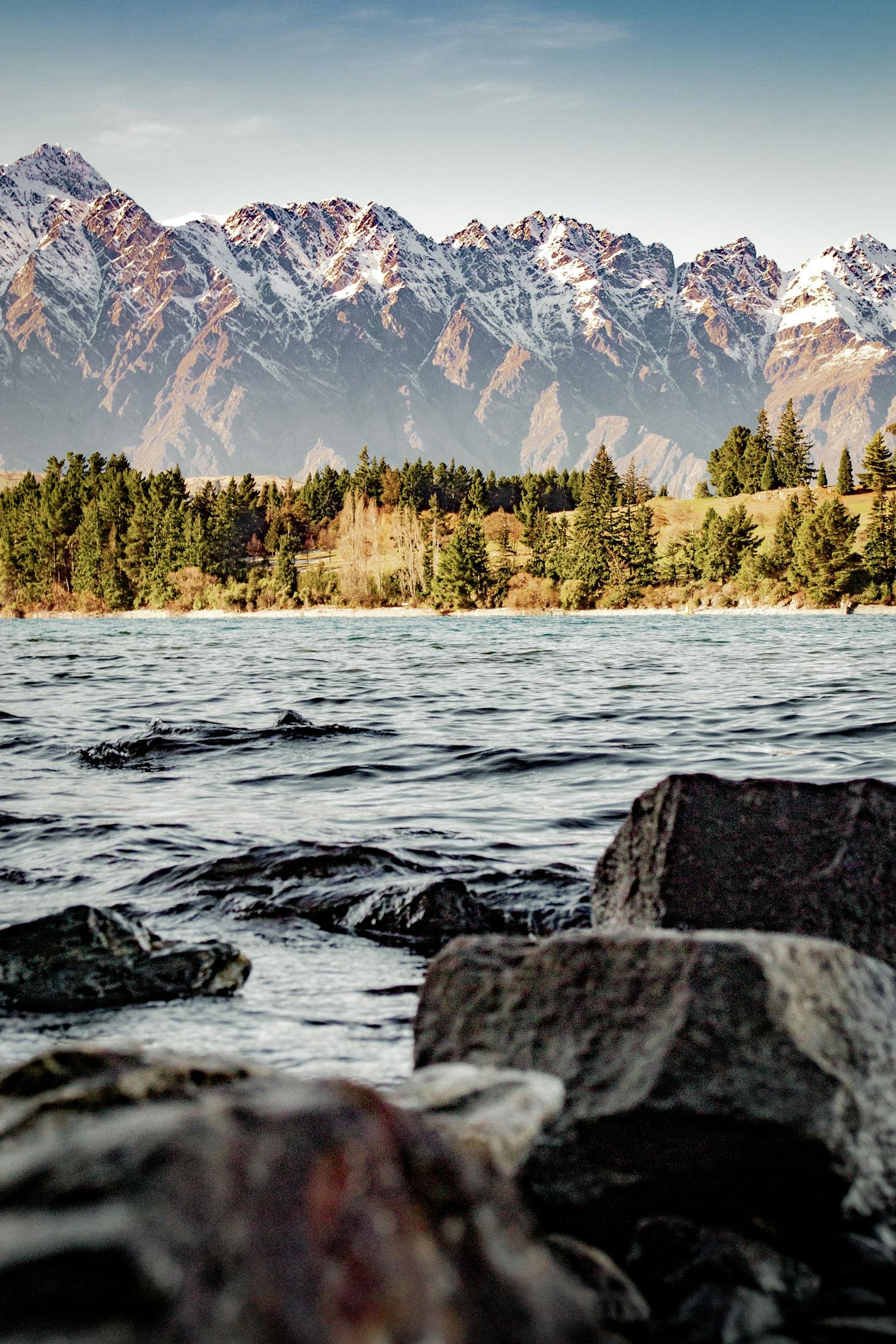 Picturesque fields and trees line the shoreline in Queenstown, New Zealand