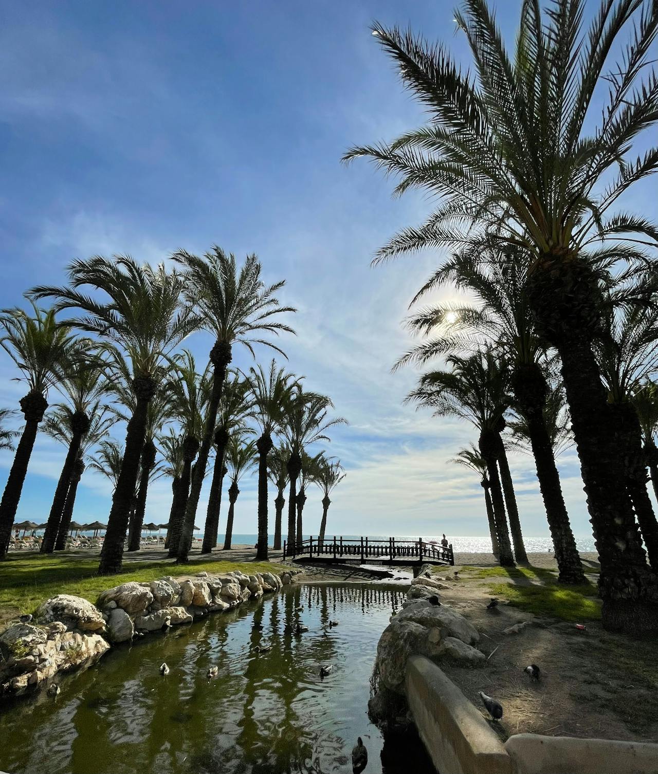 The beach promenade in Torremolinos lines with palm trees