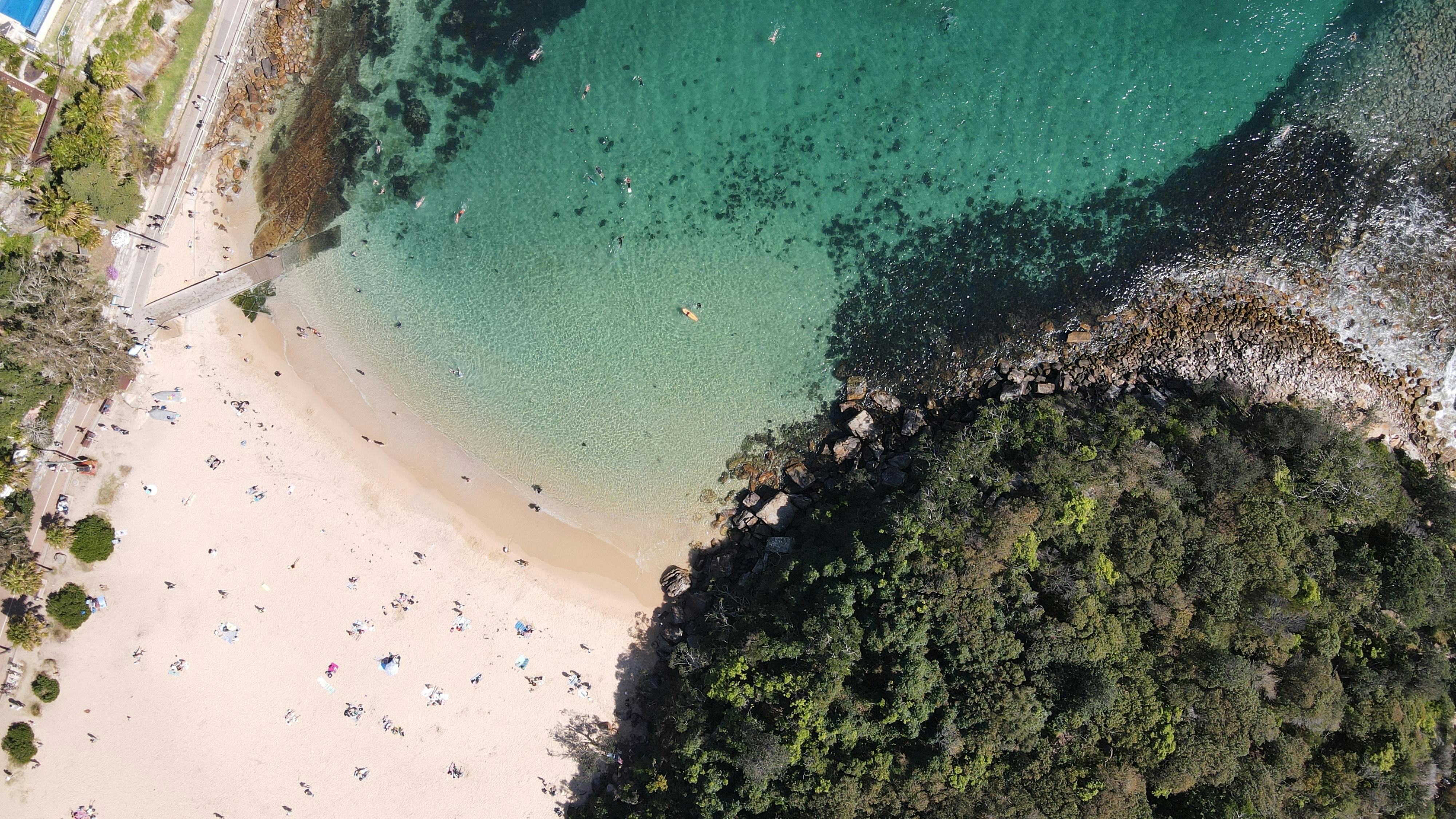 Shelly Beach near Sydney
