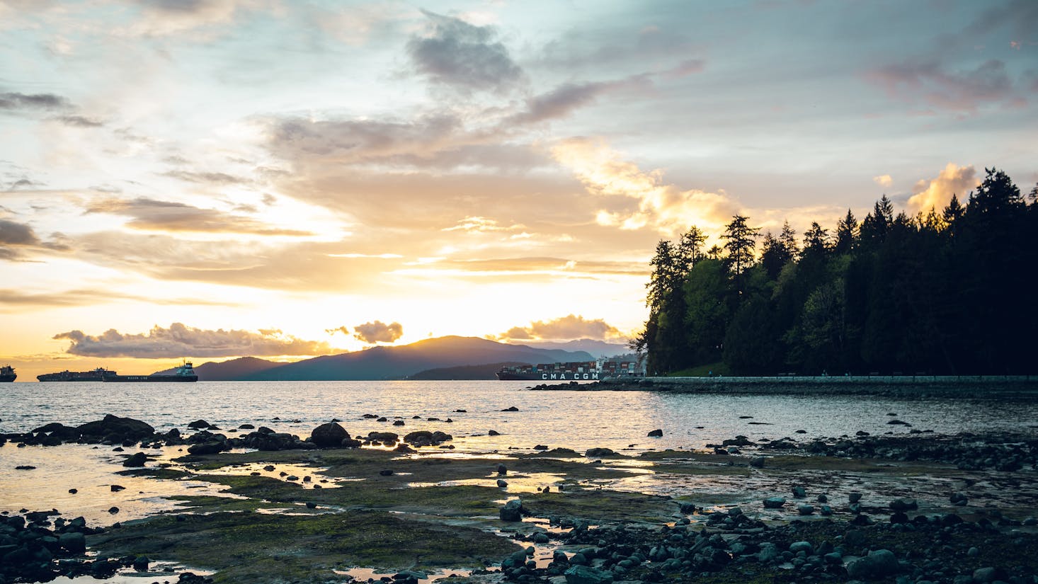 Stanley Park beach