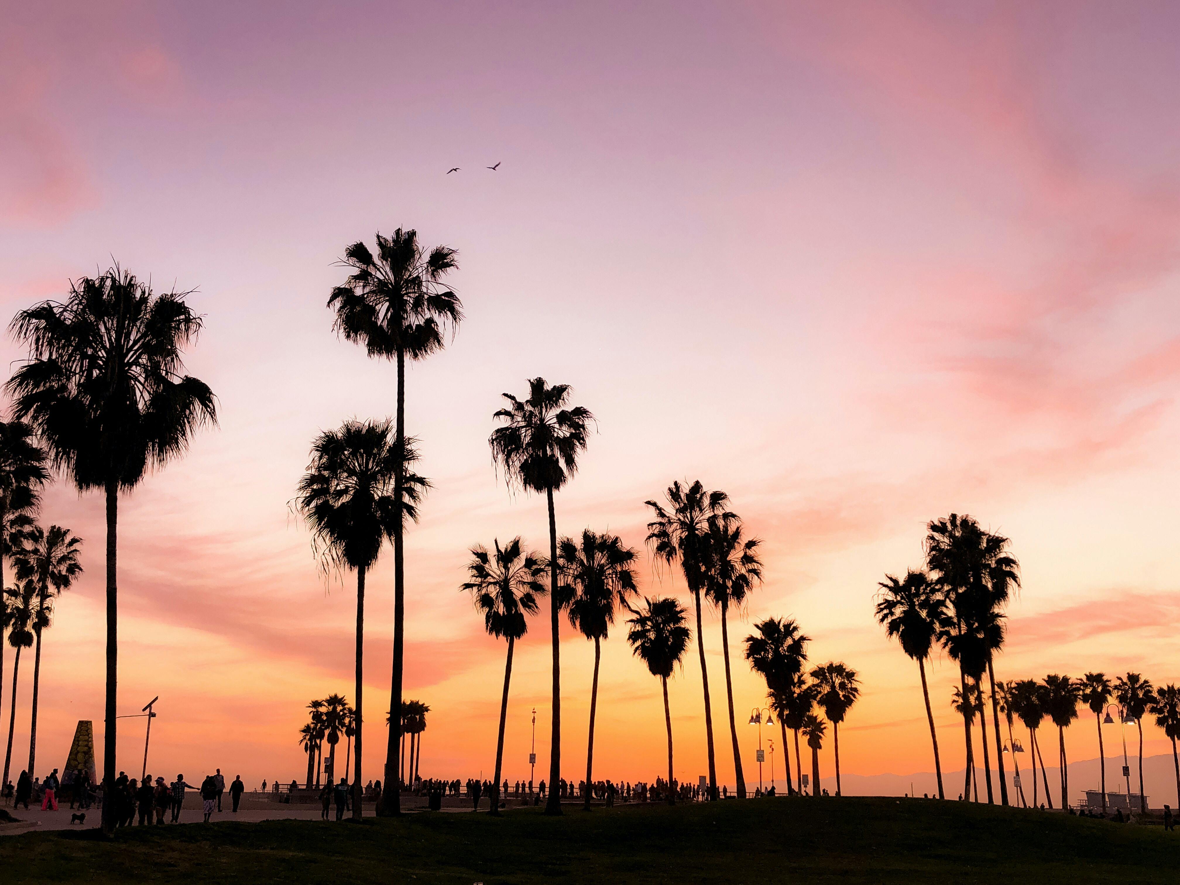 How to Visit Los Angeles on a Budget​