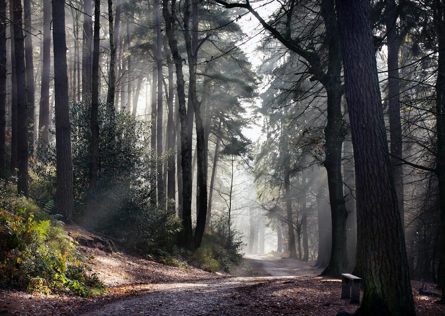 Hiking trails in Birmingham