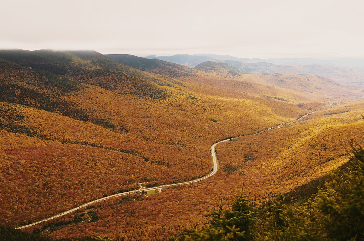 White Mountain National Forest