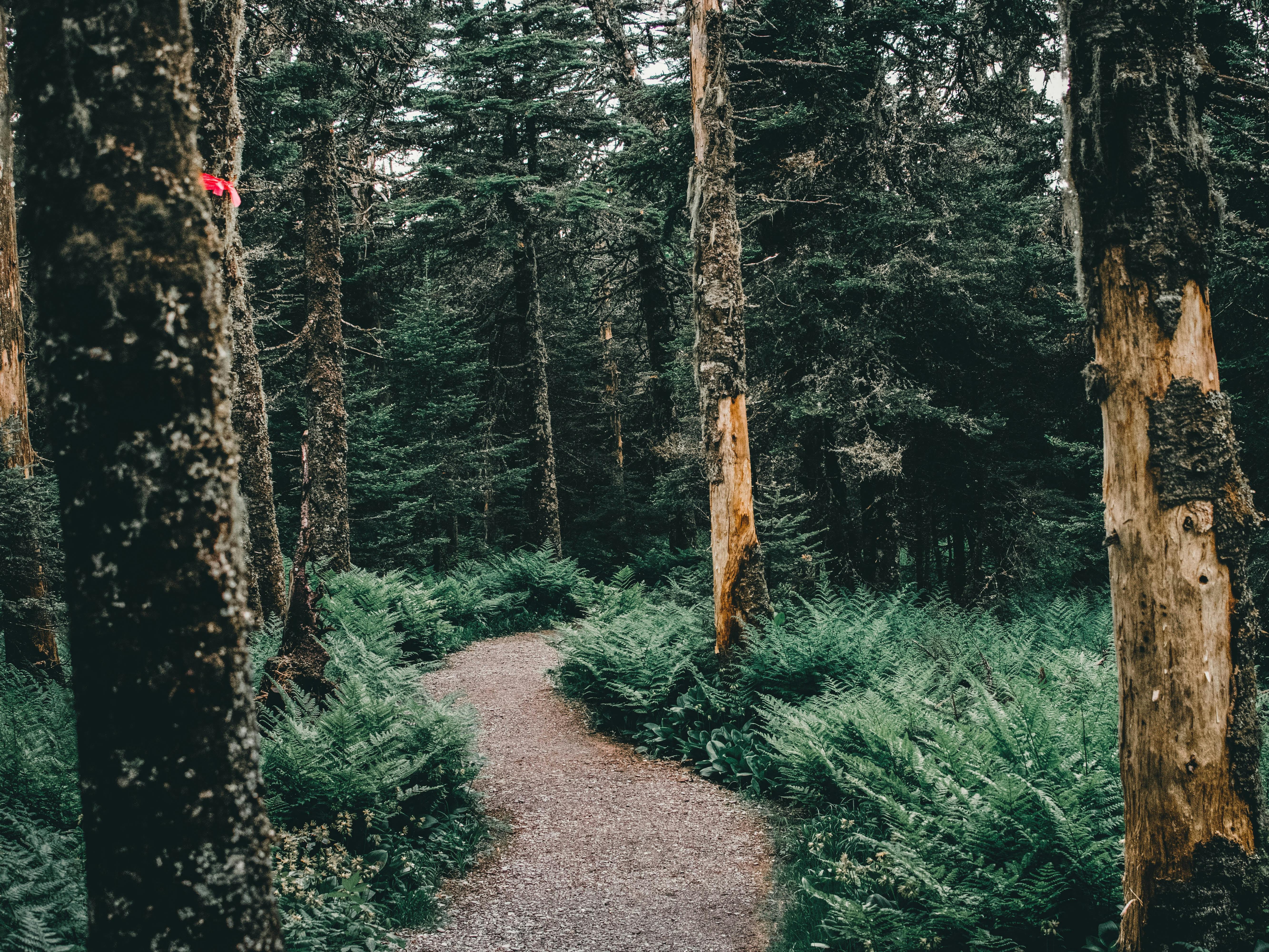 Mont Megantic National Park