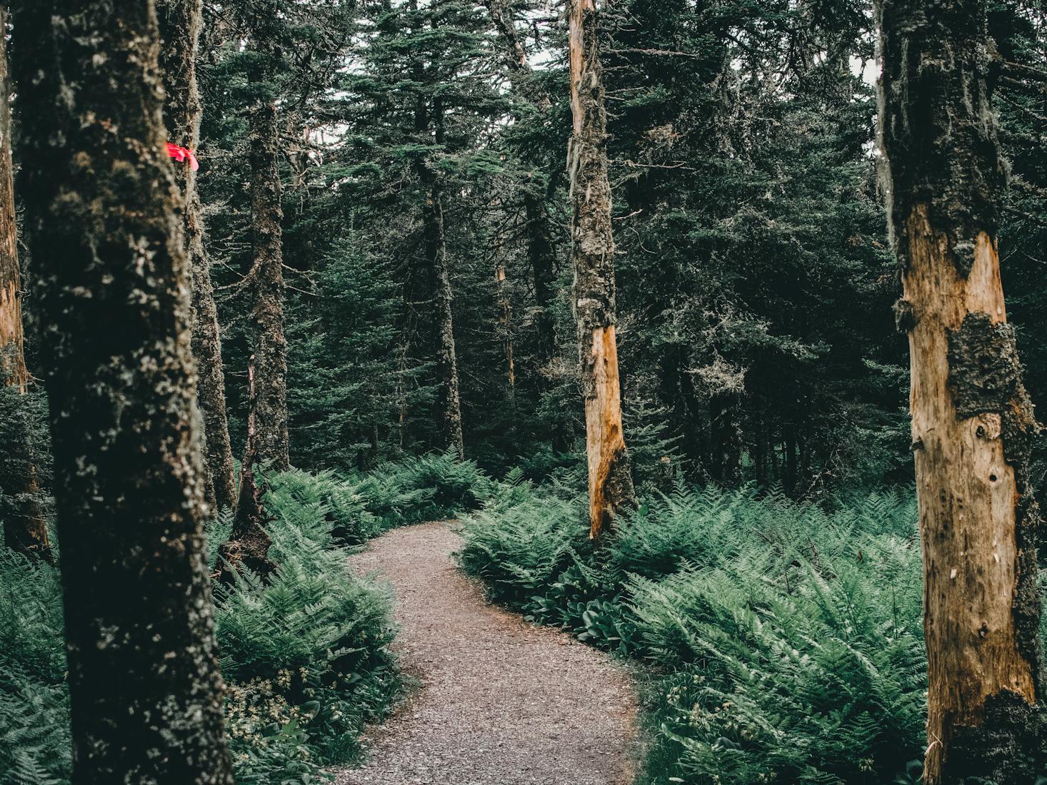 Mont Megantic National Park