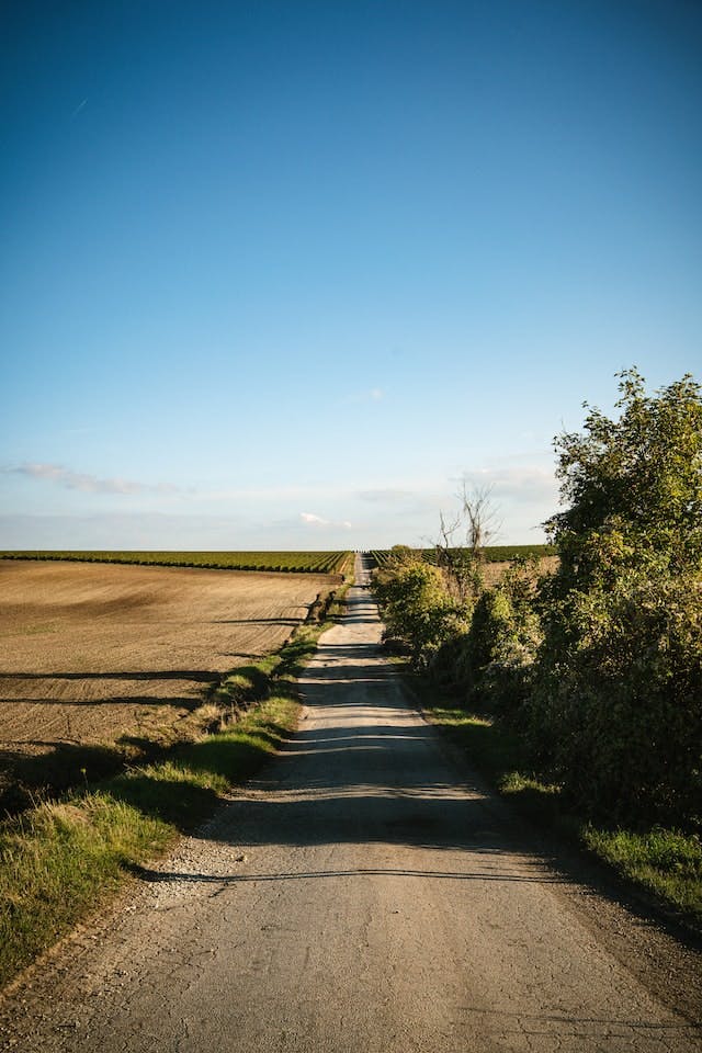 article subject image
