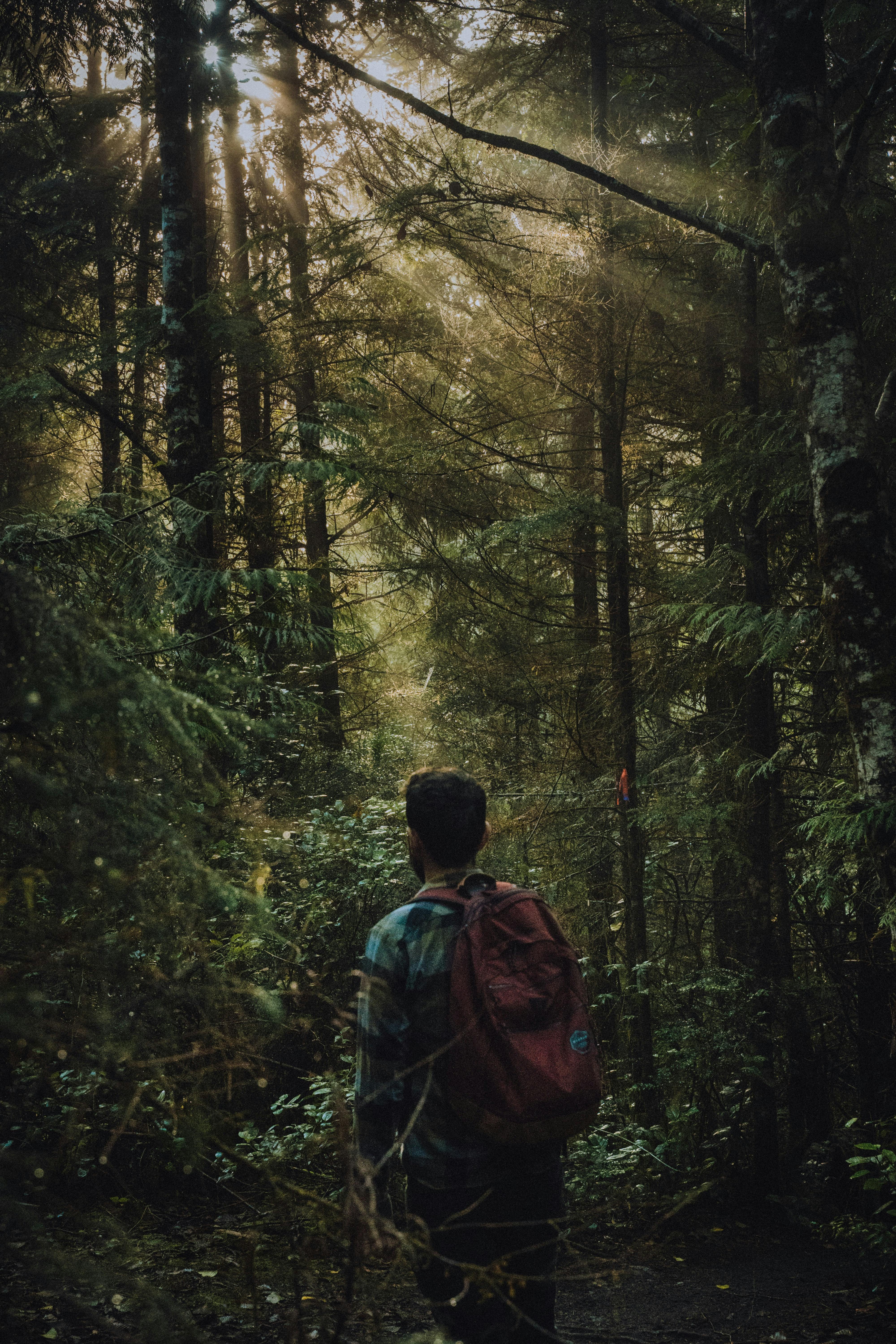 Summer hiking in Vancouver