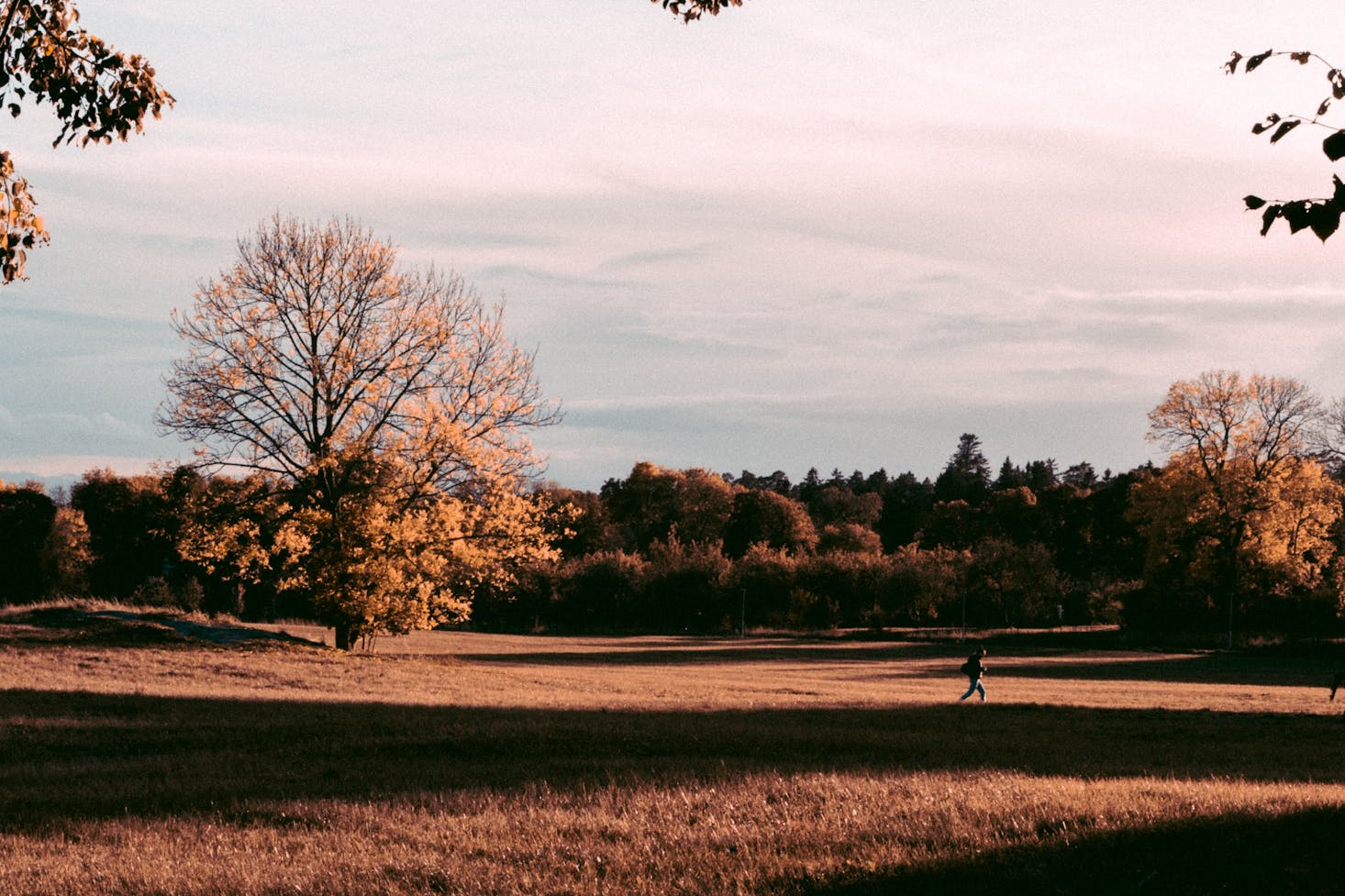 day trips from stockholm hiking