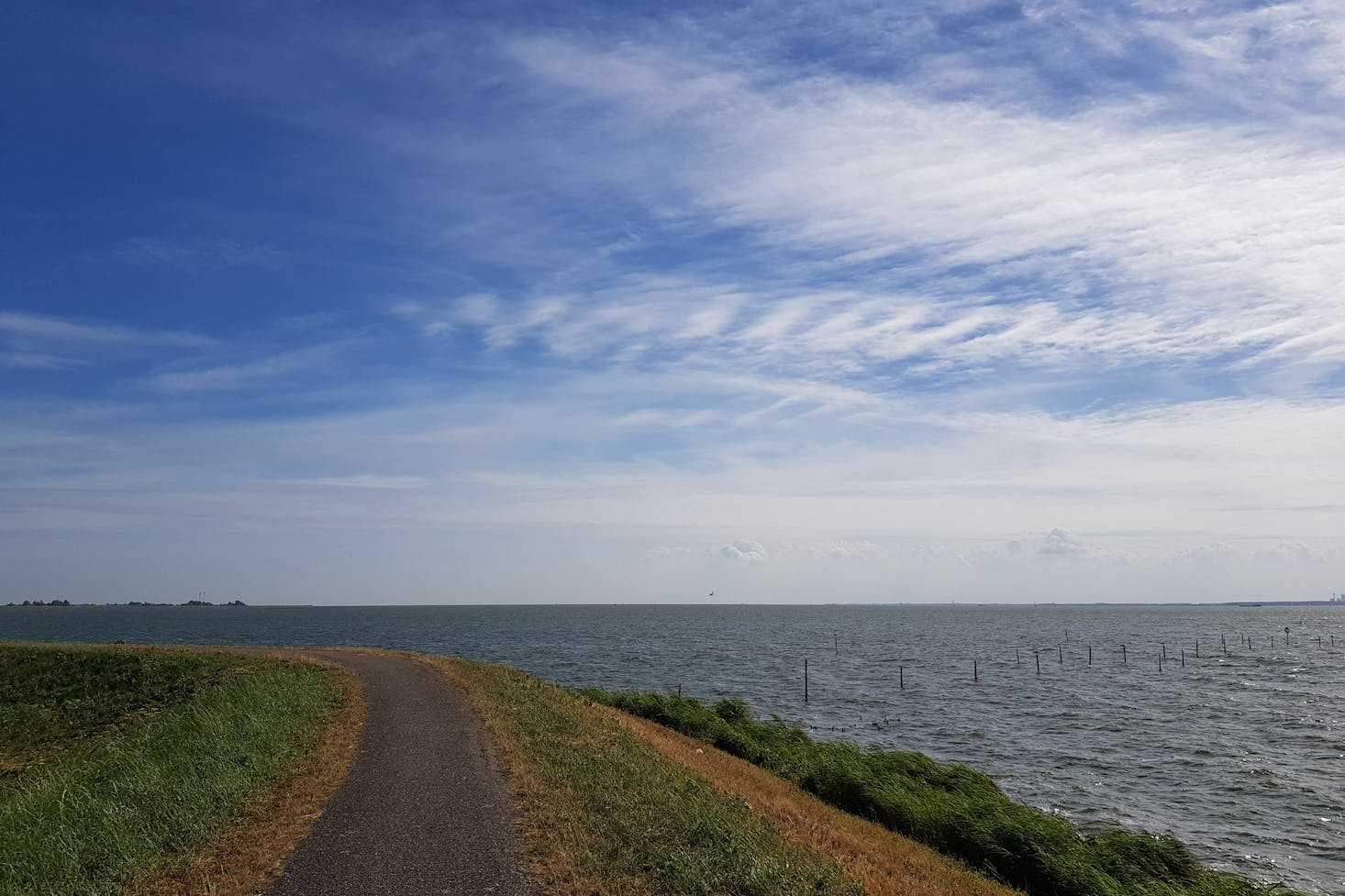 Hiking trail in Amsterdam