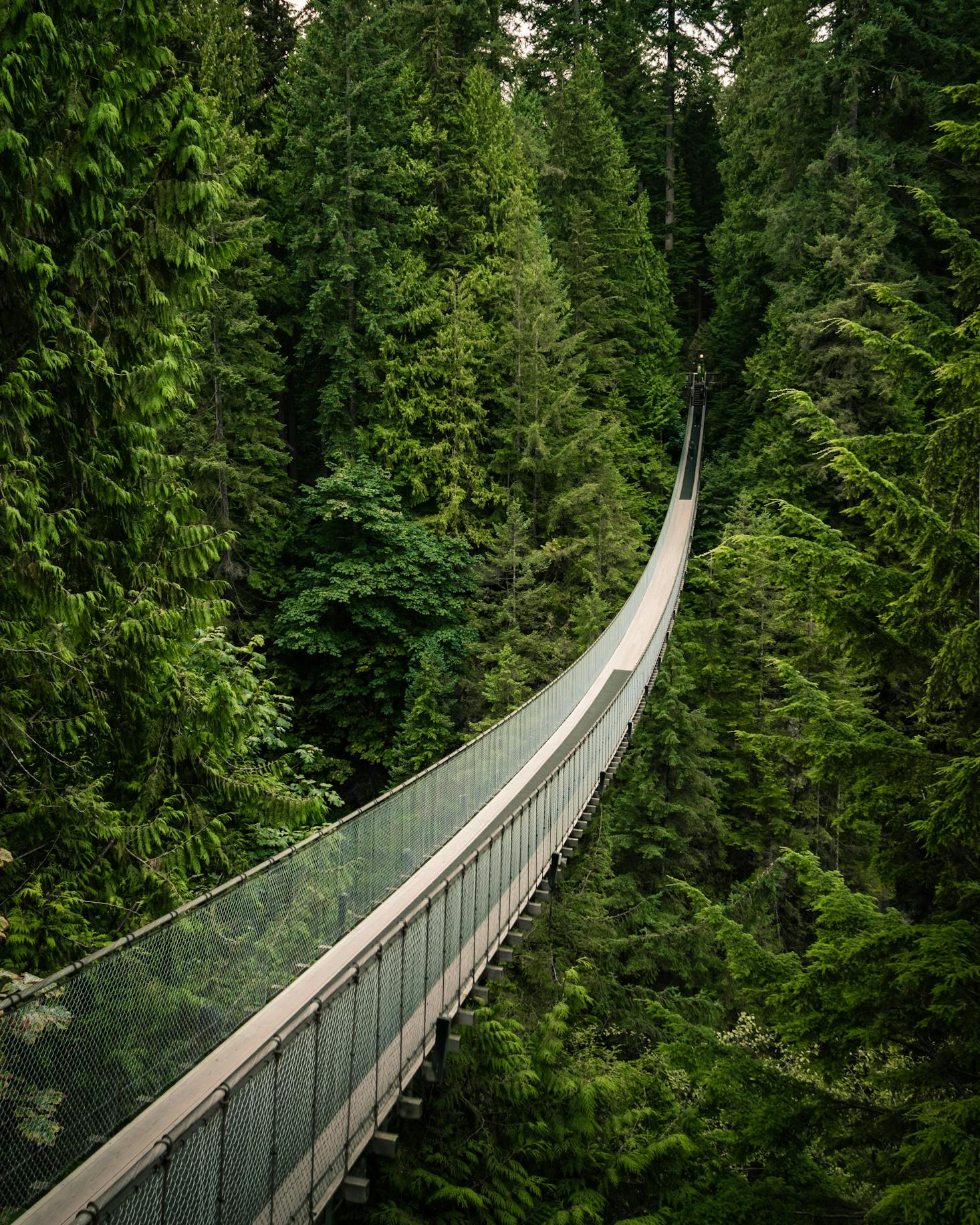 Lynn Canyon Suspension Bridge