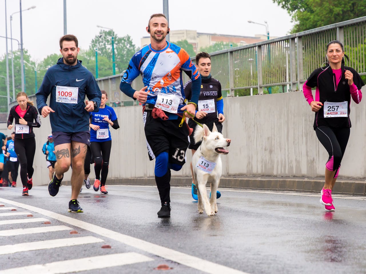 Cheerful runners and a dog enjoying the marathon on a rainy road