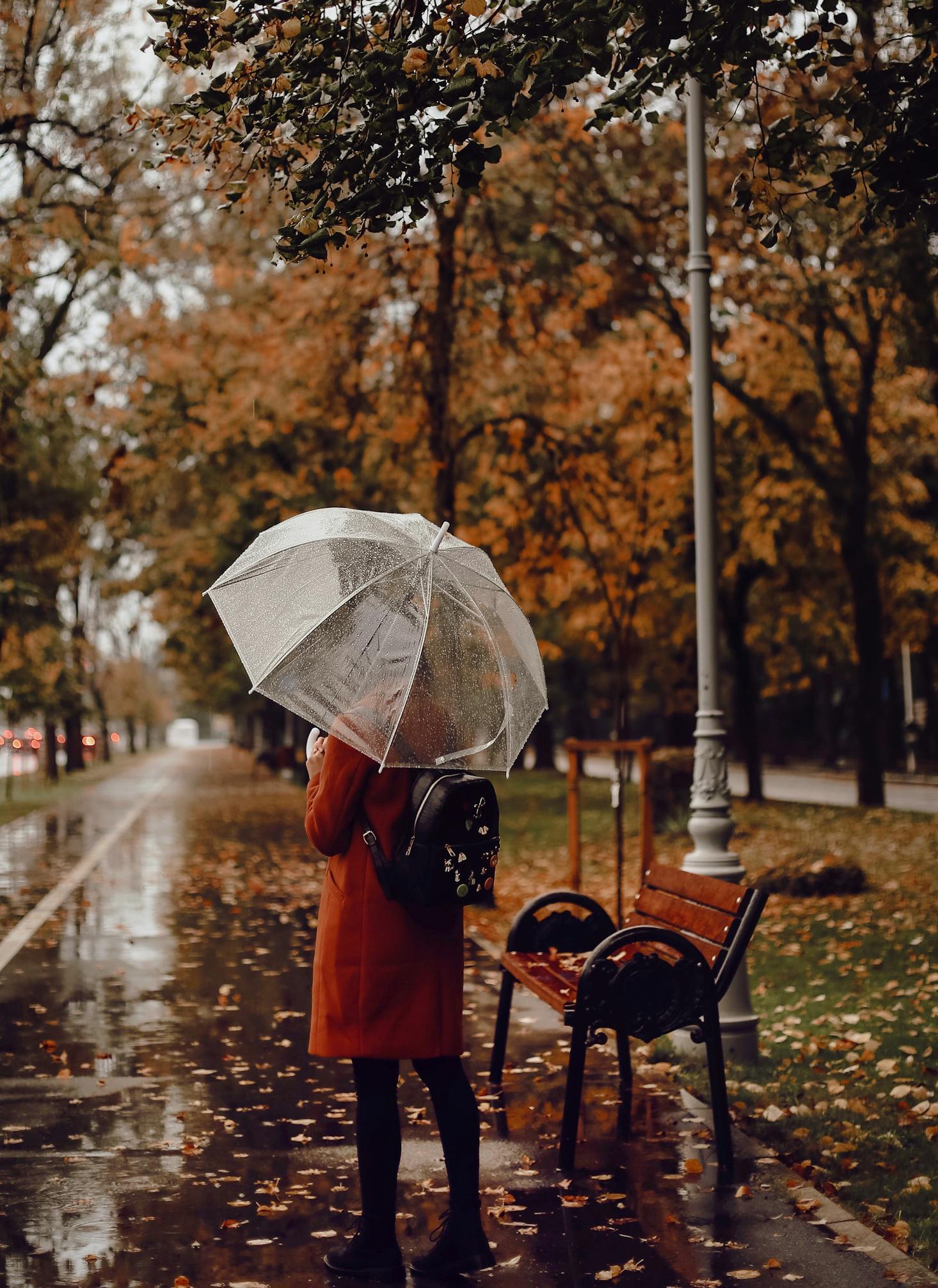 Rainy day in Bucharest