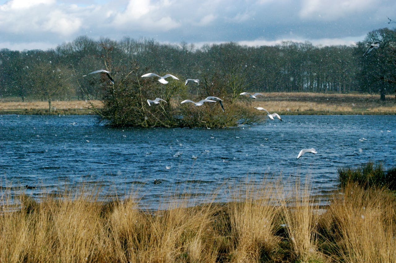 7 beaches near Oxford Where to go for sun, sand, and surf Bounce