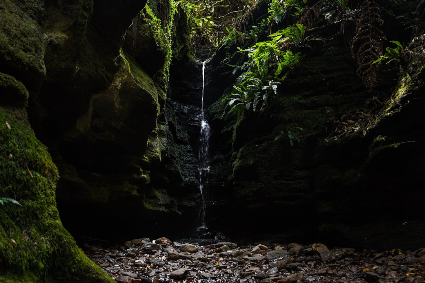 Hiking in Hobart