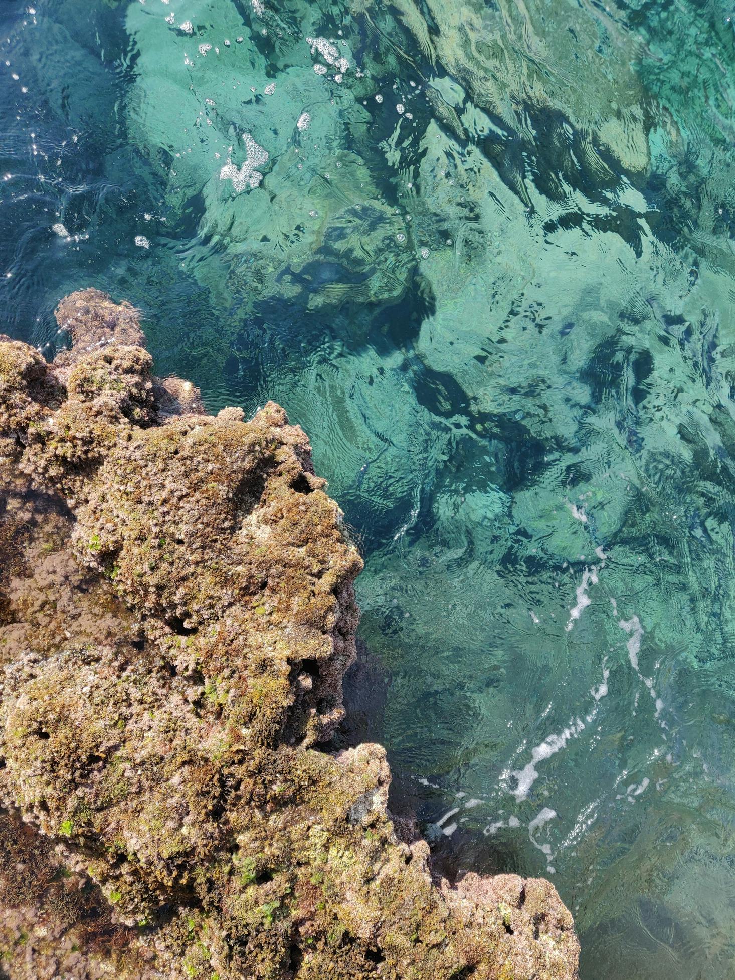 Clear water in Palermo